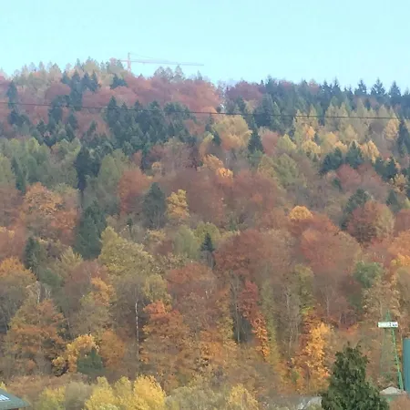 Daire Sisi Krynica Zdroj