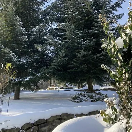 Sisi Apartament Krynica-Zdrój